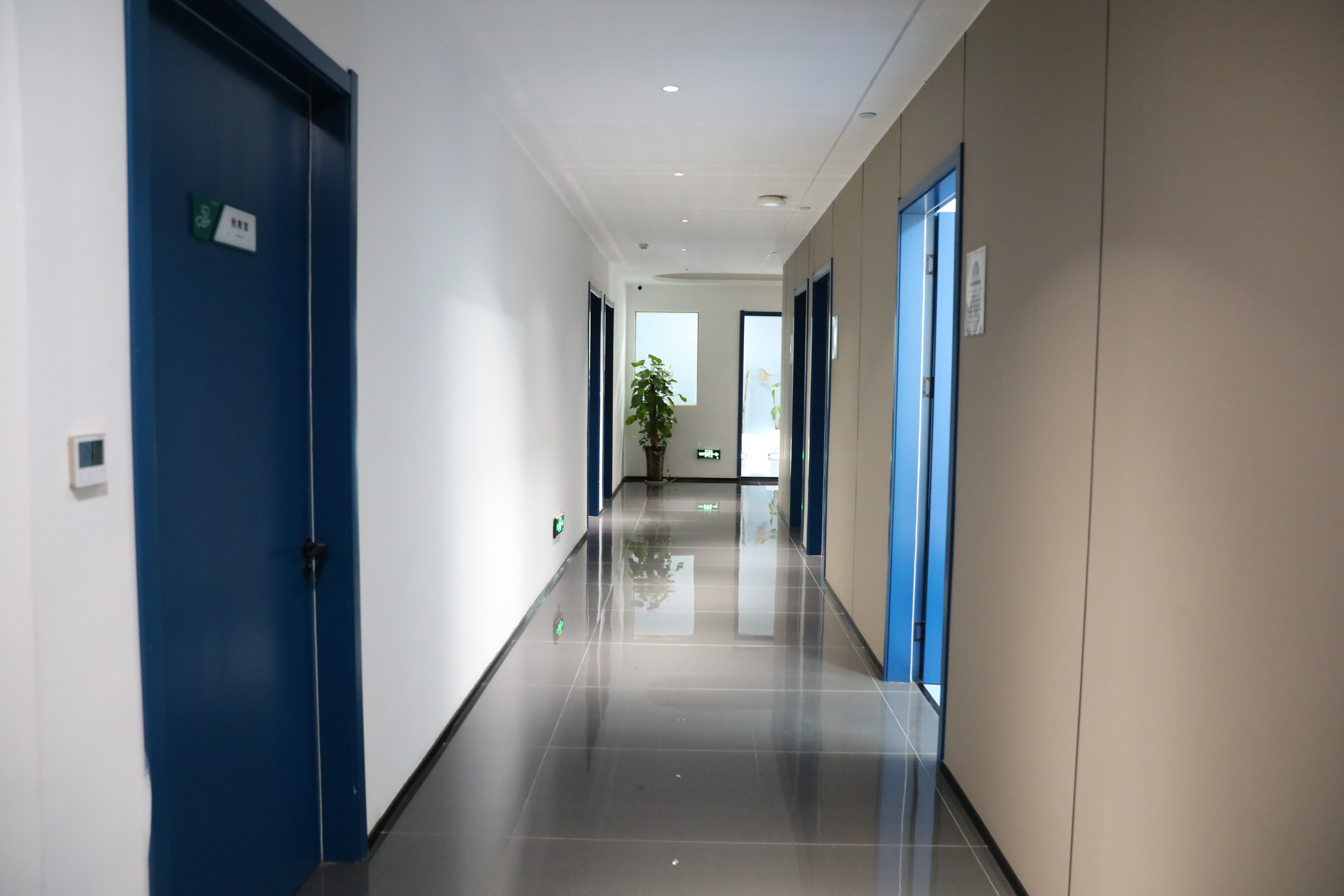 什么是中赛健康中的再生医学？