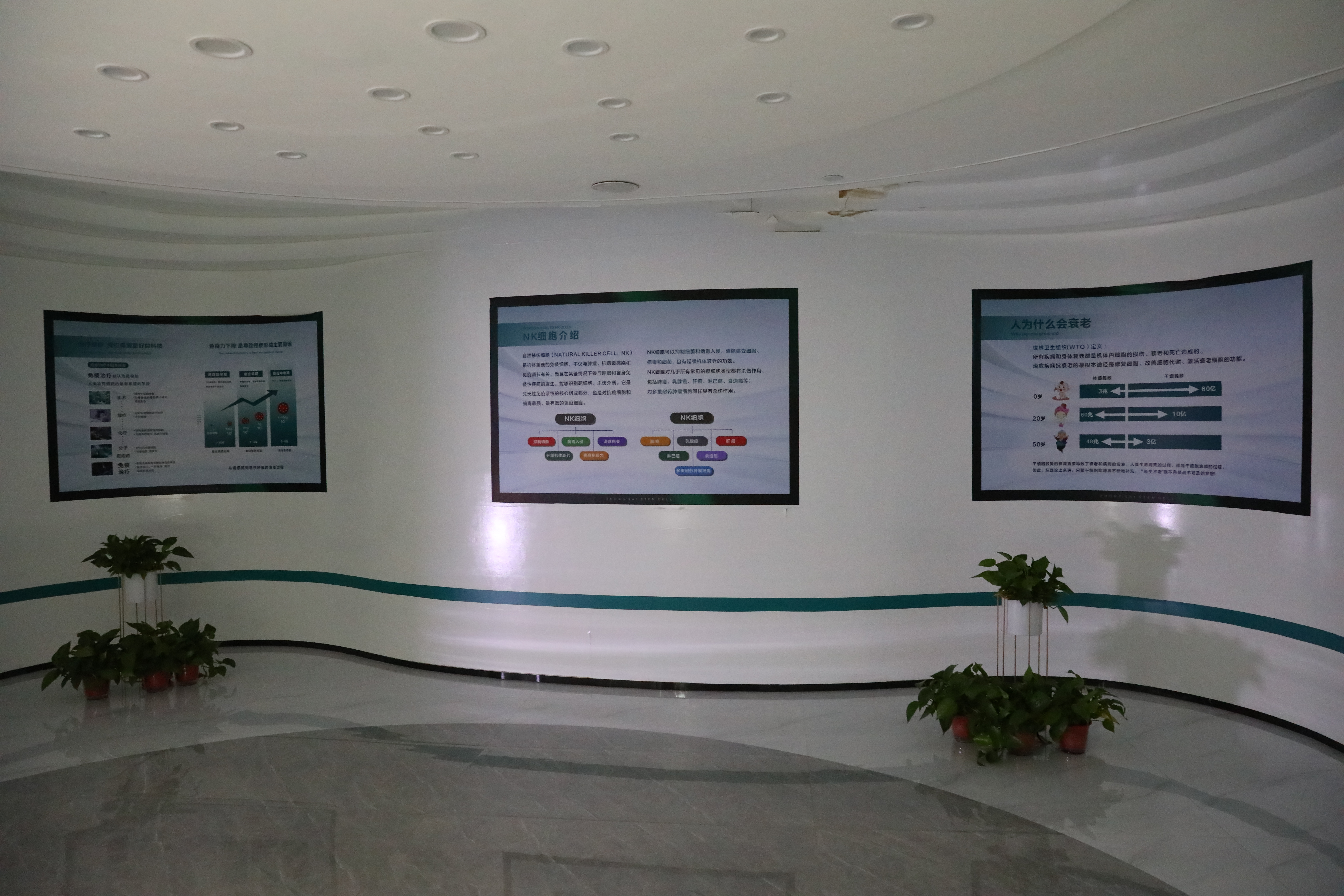 中赛生物在再生医学领域中的创新路径与实践探索