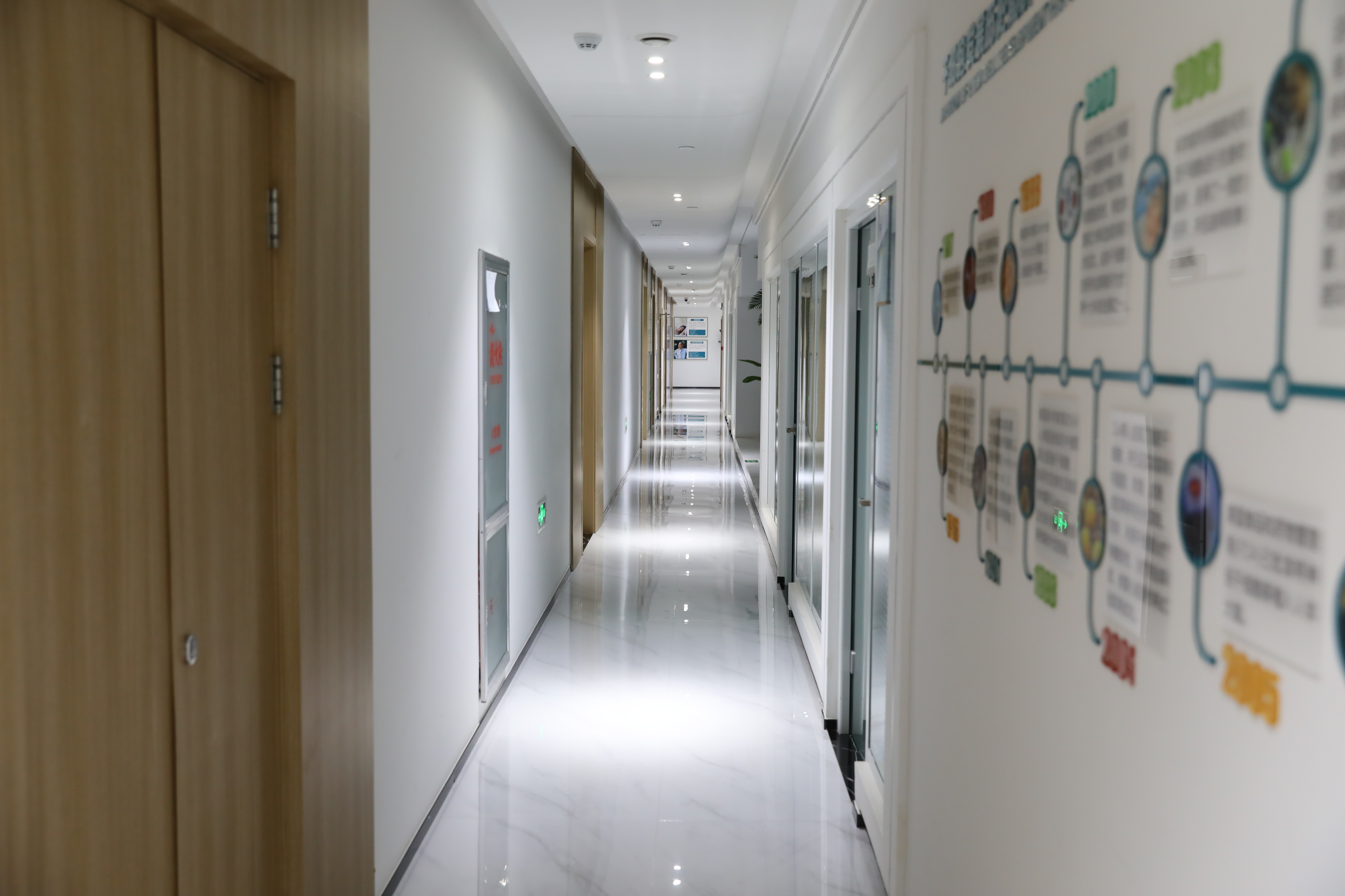 中赛细胞助推康复期调理方案 提升健康水平与生活品质