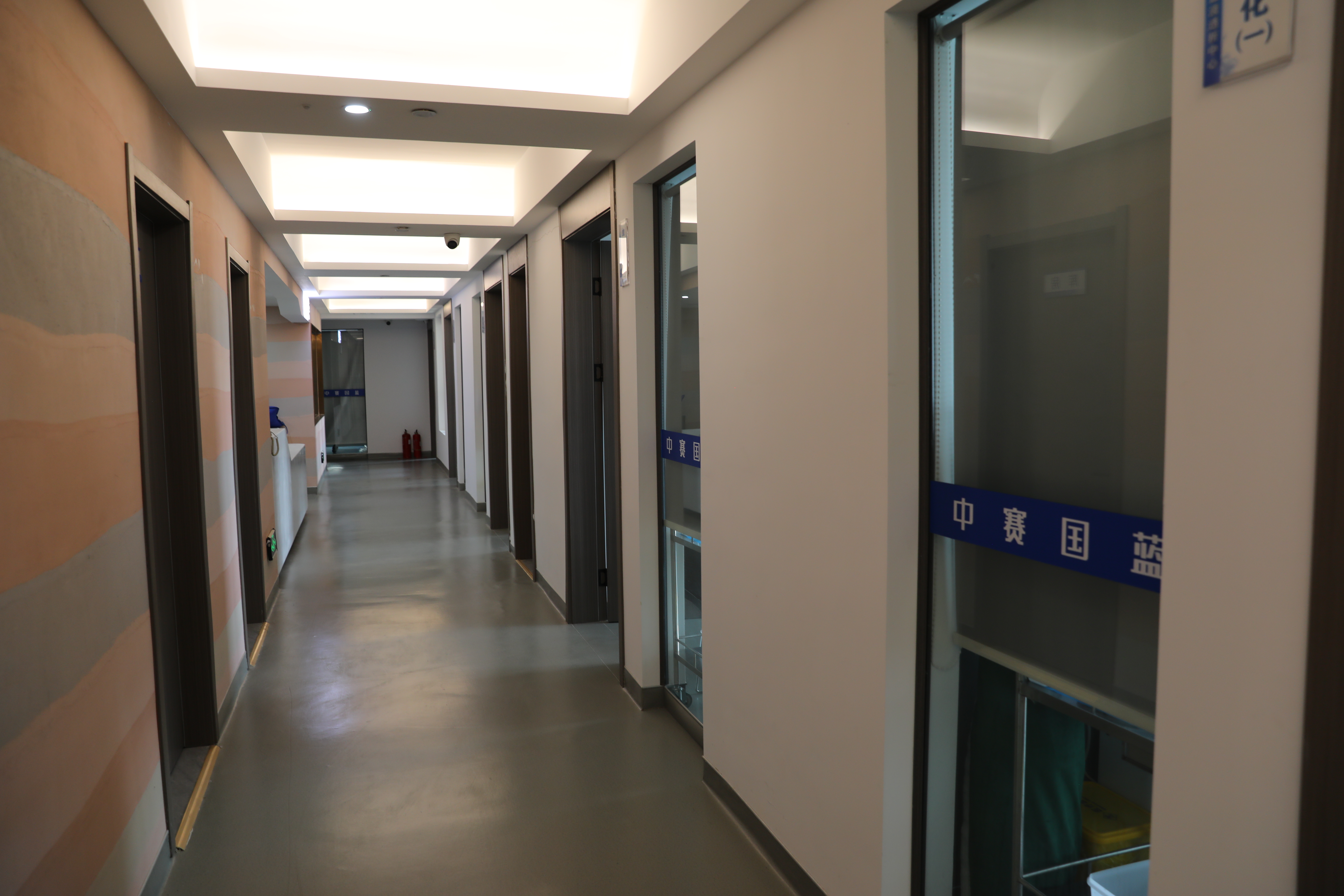 中赛健康全面升级细胞制备技术，引领生命健康新趋势