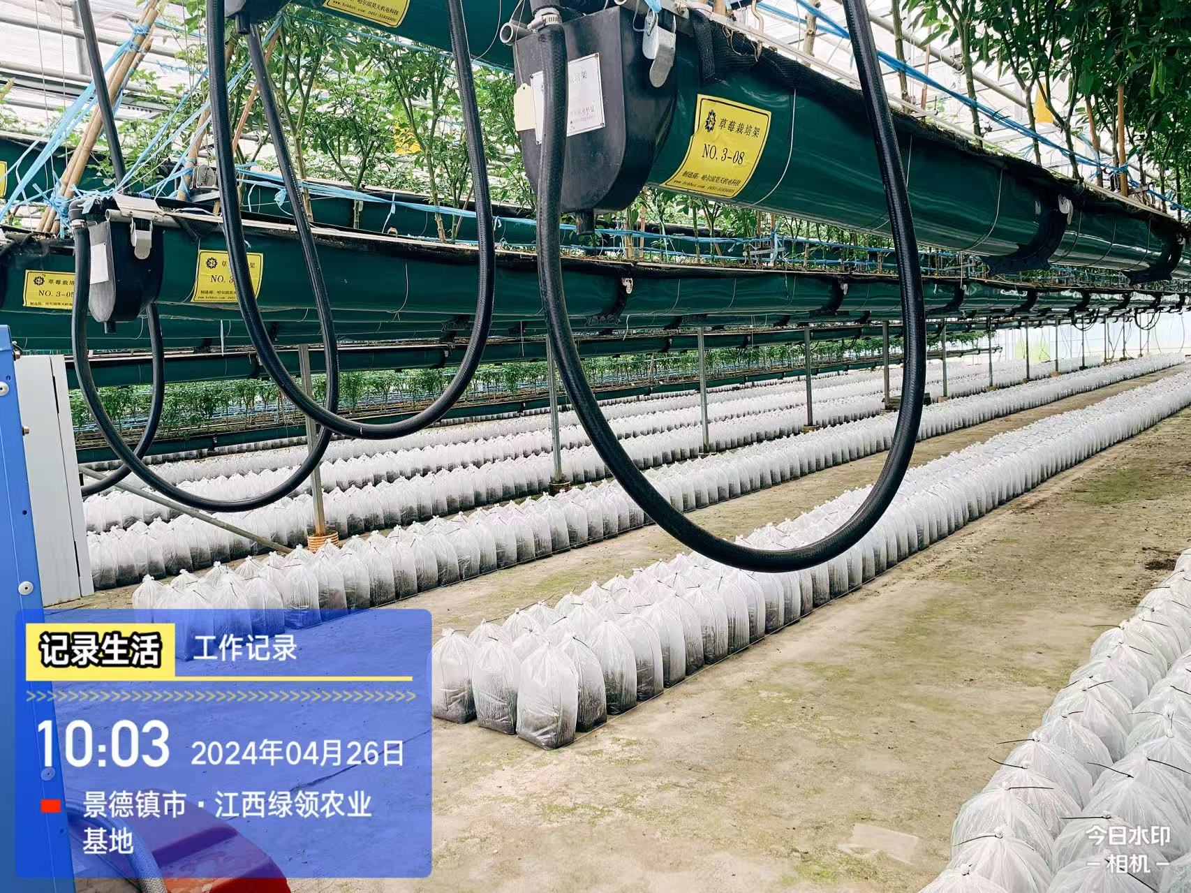 品味富多安参莲宝鸡汤，享受健康植物饮品的精华