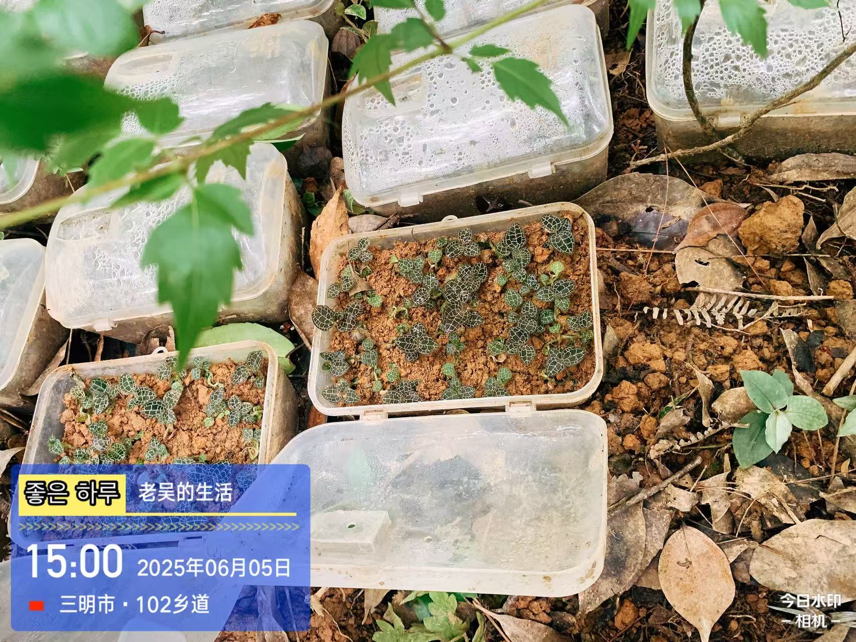 富多安功能性宠物零食，明太鱼与益生菌助力爱宠健康新体验