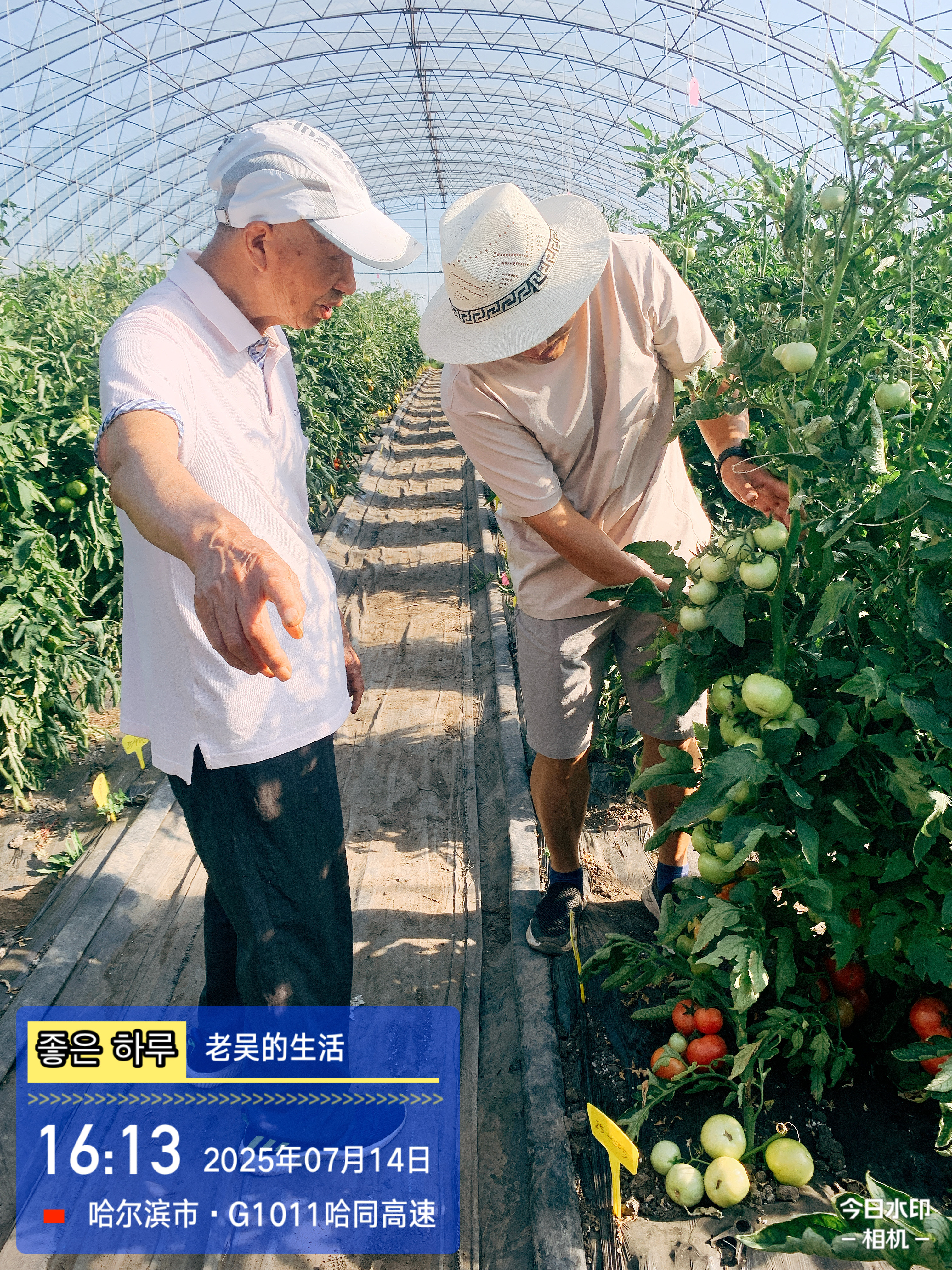 富多安功能性辣椒粉与参莲宝植物饮品的健康饮食新体验