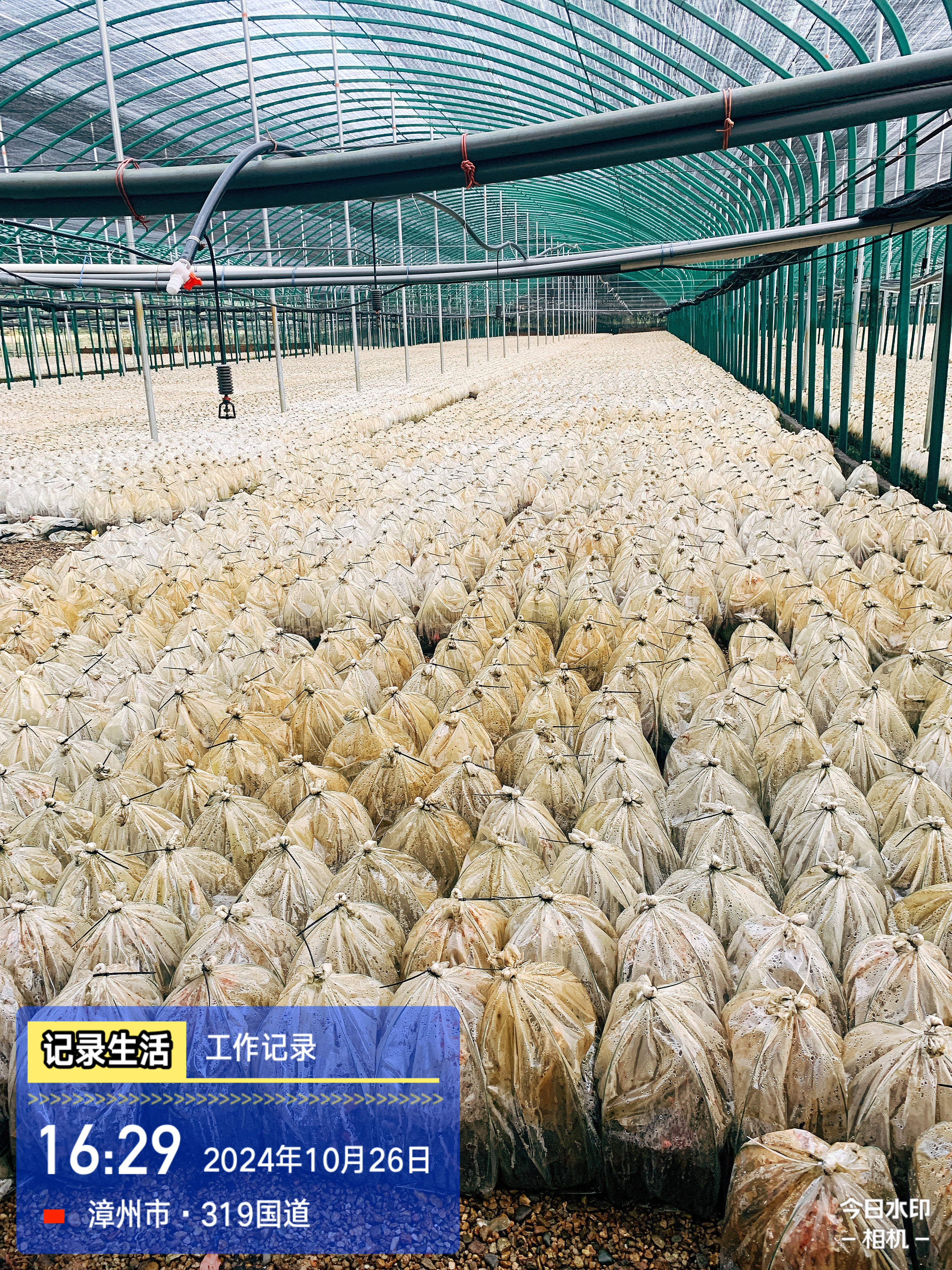 富多安功能性辣椒粉为参莲宝鸡汤注入健康创新活力