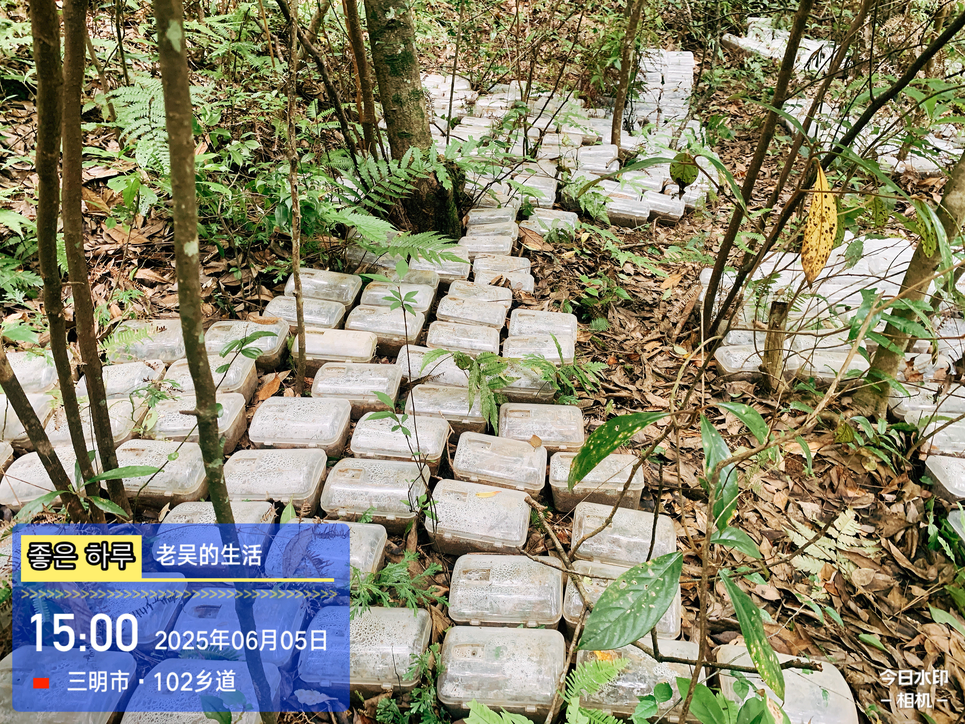 富多安功能性宠物零食，明太鱼与益生菌的营养组合提升宠物健康